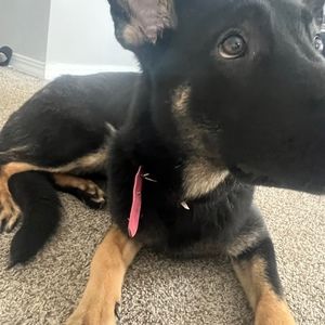 Meet your Posher, Itss